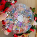 Zodiac Astrology Suncatcher
